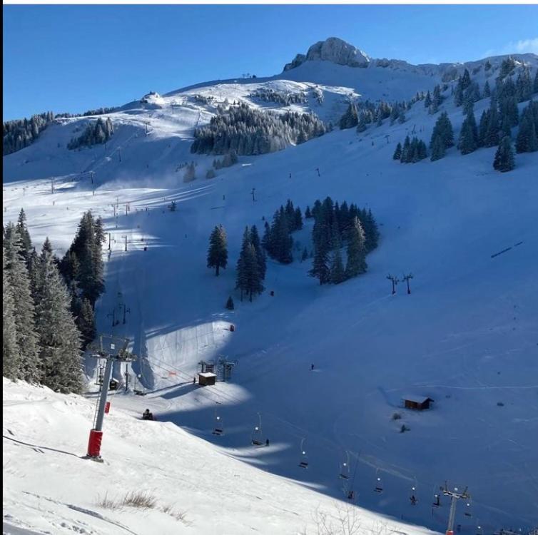 Igloo Ski In Ski Out Thollon-les-Memises Bagian luar foto